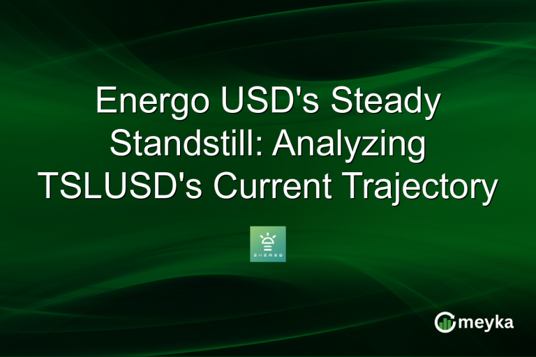 Energo USD's Steady Standstill: Analyzing TSLUSD's Current Trajectory