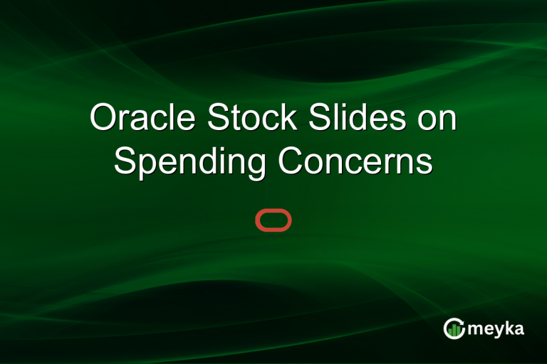 Oracle Stock Slides on Spending Concerns