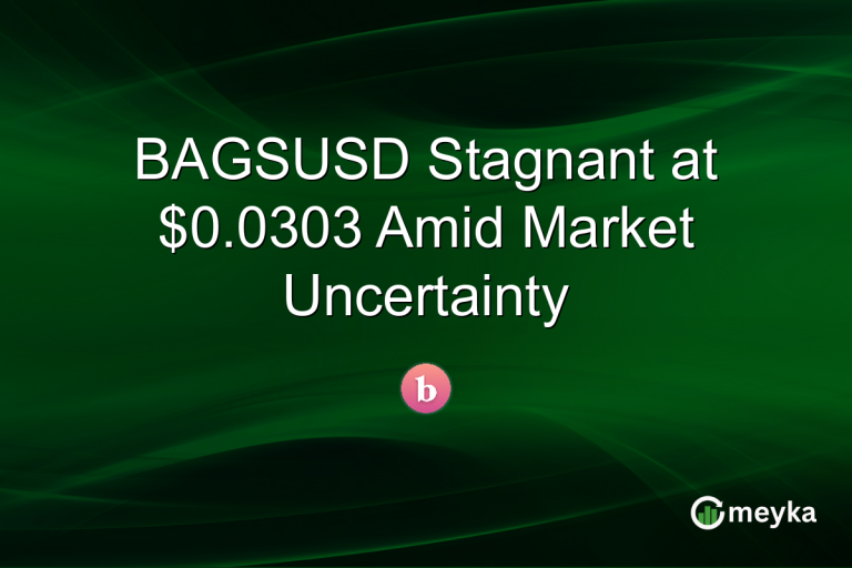 BAGSUSD Stagnant at $0.0303 Amid Market Uncertainty