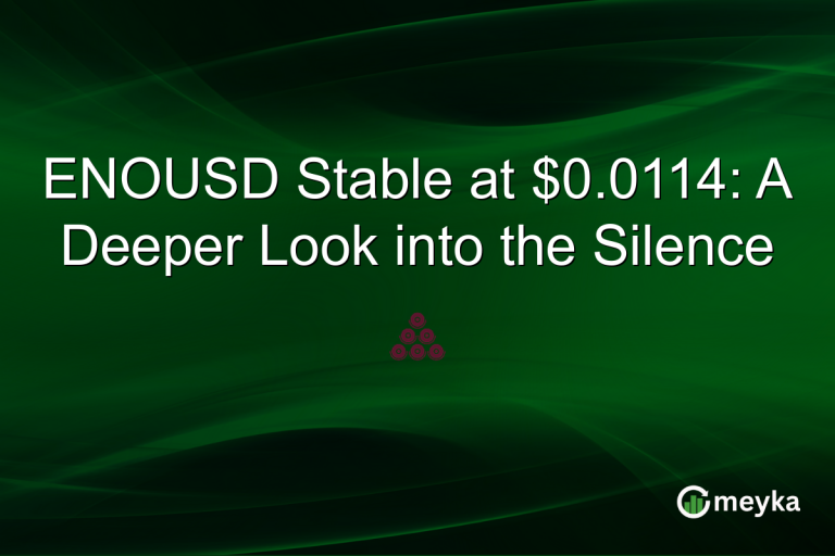 ENOUSD Stable at $0.0114: A Deeper Look into the Silence