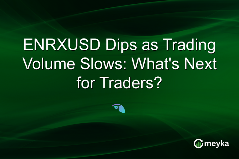 ENRXUSD Dips as Trading Volume Slows: What's Next for Traders?