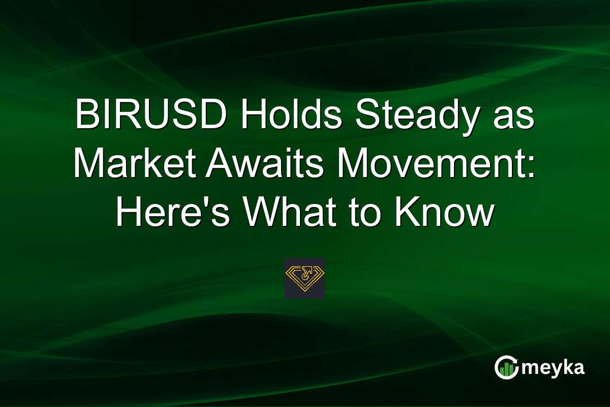 BIRUSD Holds Steady as Market Awaits Movement: Here's What to Know