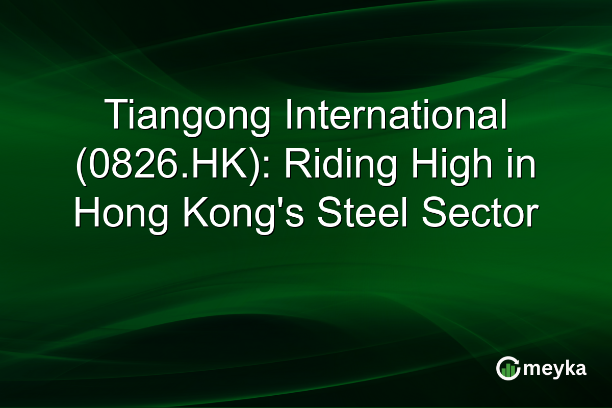 Tiangong International (0826.HK): Riding High in Hong Kong's Steel Sector
