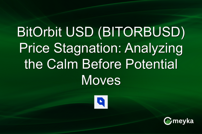 BitOrbit USD (BITORBUSD) Price Stagnation: Analyzing the Calm Before Potential Moves
