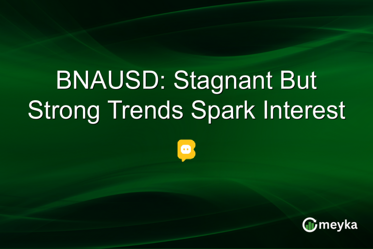 BNAUSD: Stagnant But Strong Trends Spark Interest