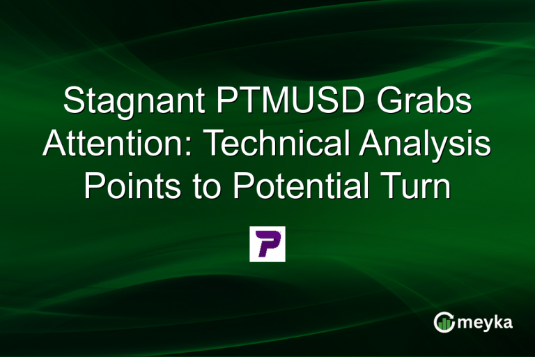 Stagnant PTMUSD Grabs Attention: Technical Analysis Points to Potential Turn