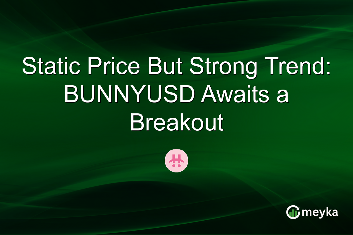 Static Price But Strong Trend: BUNNYUSD Awaits a Breakout