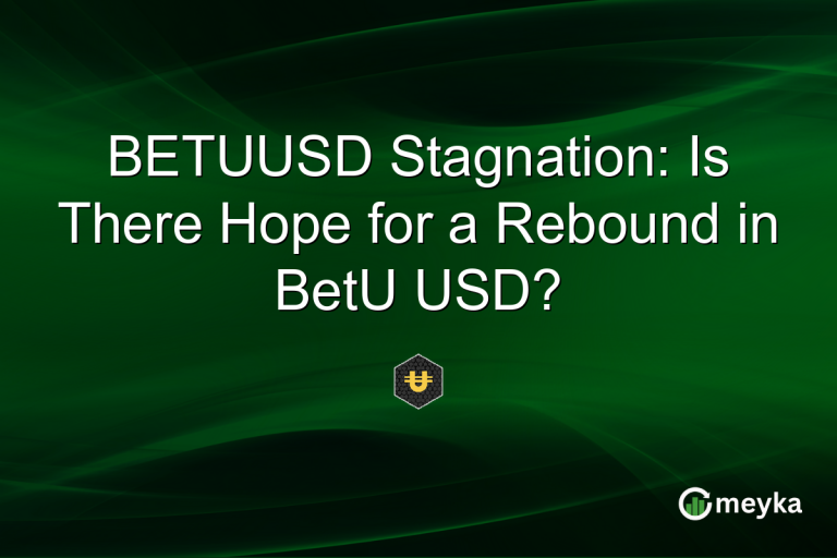 BETUUSD Stagnation: Is There Hope for a Rebound in BetU USD?