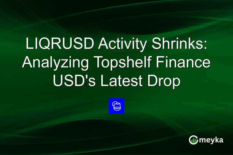 LIQRUSD Activity Shrinks: Analyzing Topshelf Finance USD's Latest Drop