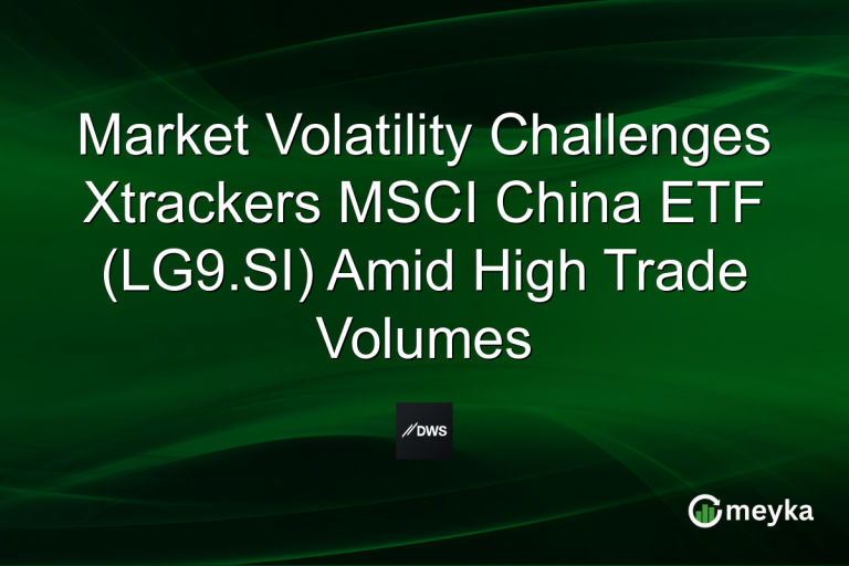 Market Volatility Challenges Xtrackers MSCI China ETF (LG9.SI) Amid High Trade Volumes