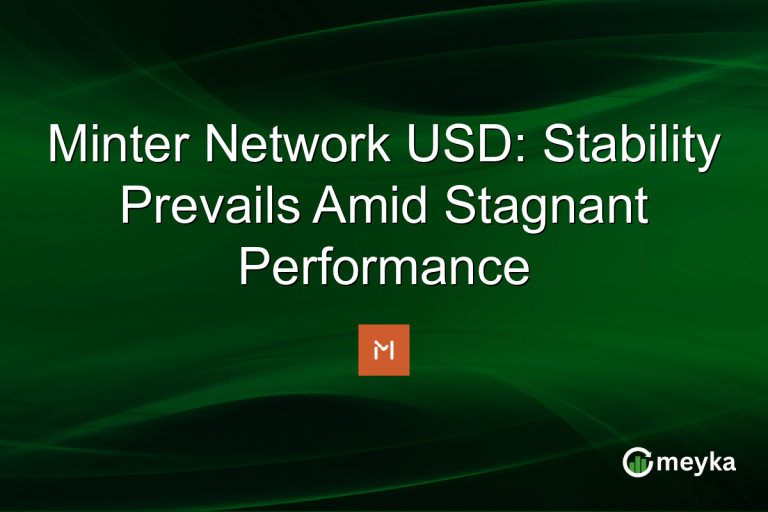 Minter Network USD: Stability Prevails Amid Stagnant Performance