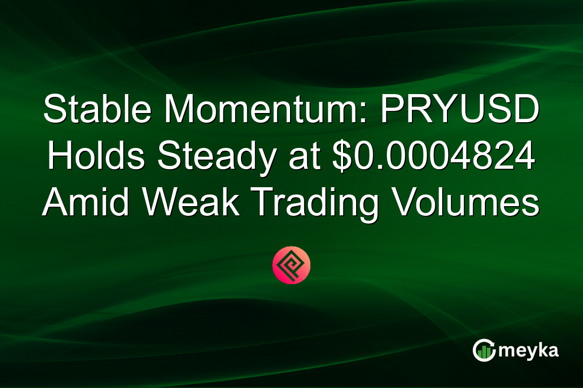 Stable Momentum: PRYUSD Holds Steady at $0.0004824 Amid Weak Trading Volumes