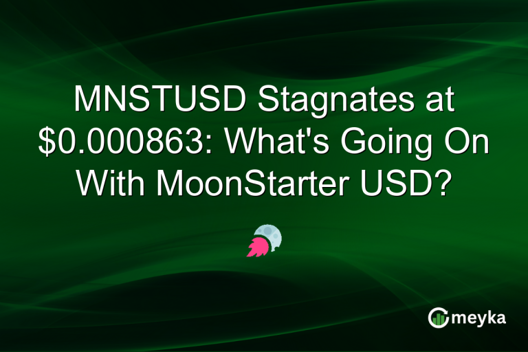 MNSTUSD Stagnates at $0.000863: What's Going On With MoonStarter USD?