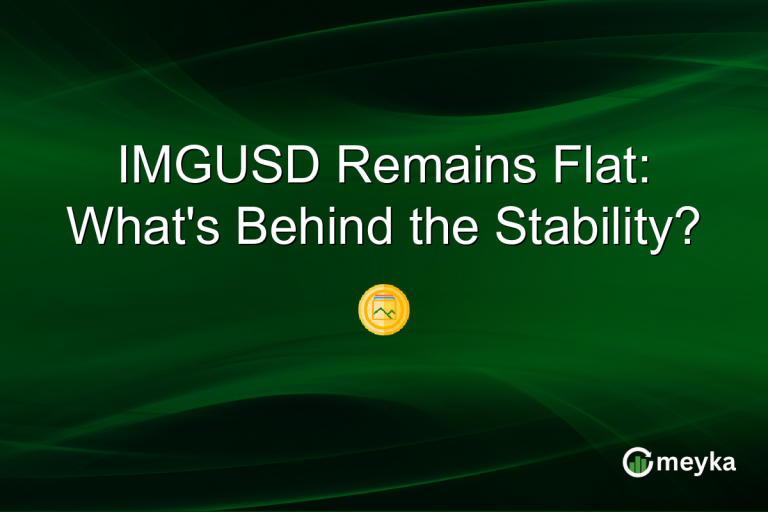 IMGUSD Remains Flat: What's Behind the Stability?