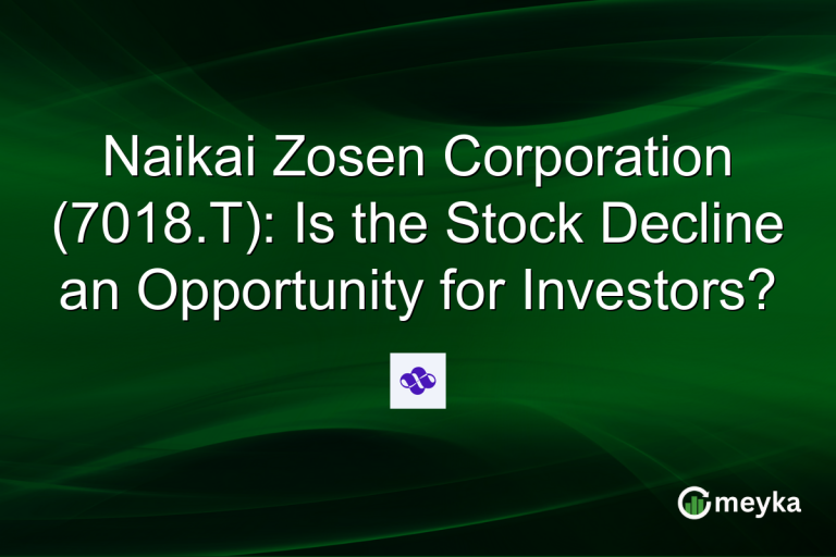 Naikai Zosen Corporation (7018.T): Is the Stock Decline an Opportunity for Investors?