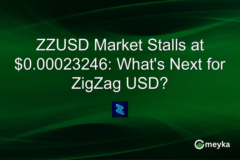 ZZUSD Market Stalls at $0.00023246: What's Next for ZigZag USD?