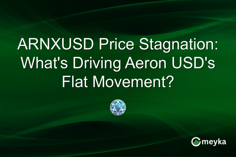 ARNXUSD Price Stagnation: What's Driving Aeron USD's Flat Movement?