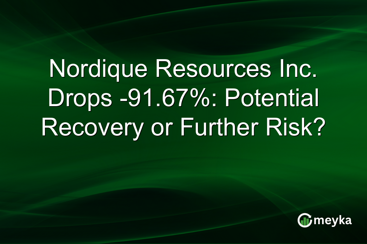 Nordique Resources Inc. Drops -91.67%: Potential Recovery or Further Risk?