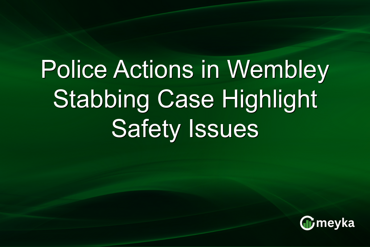 Police Actions in Wembley Stabbing Case Highlight Safety Issues