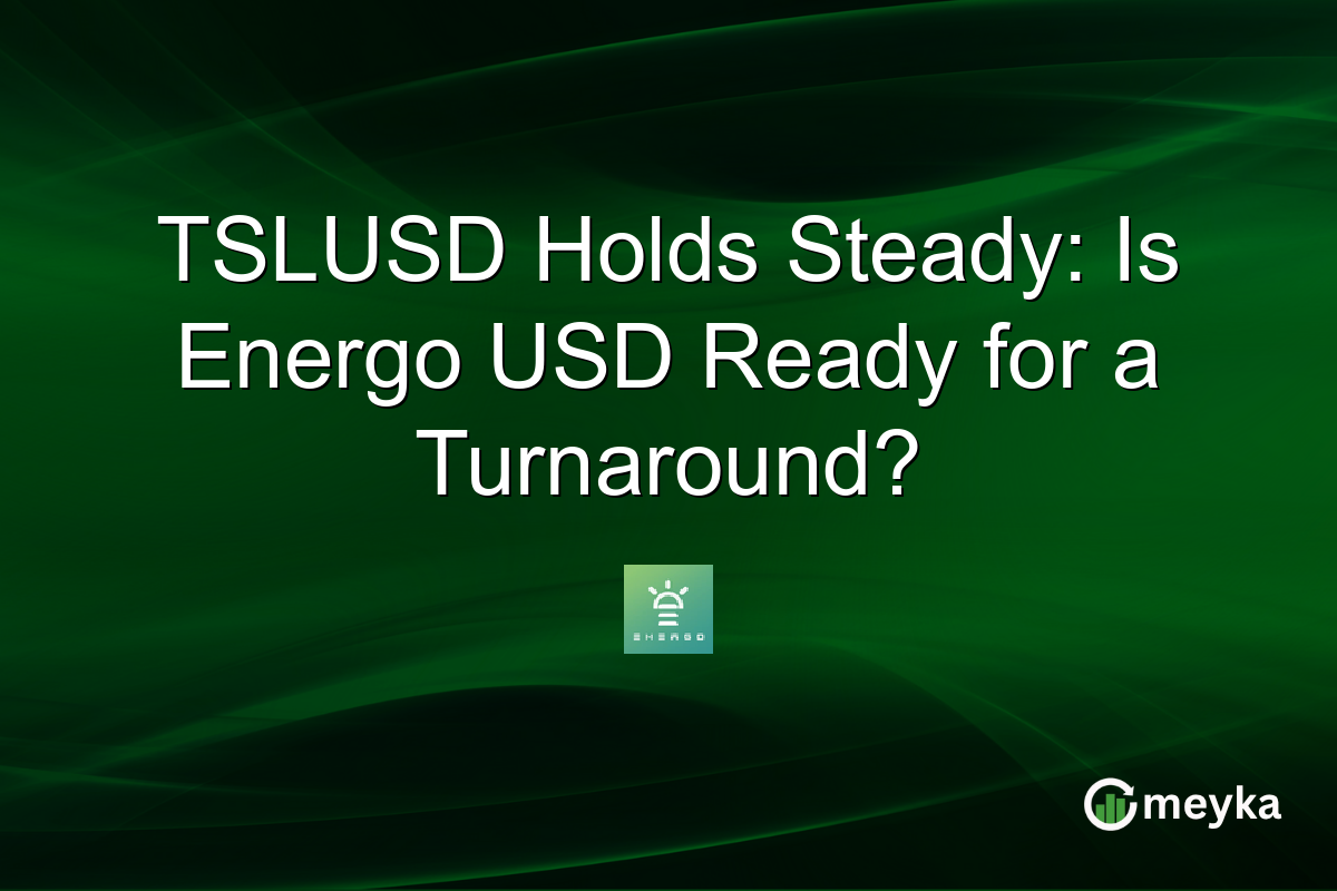 TSLUSD Holds Steady: Is Energo USD Ready for a Turnaround?