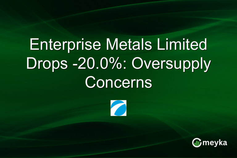 Enterprise Metals Limited Drops -20.0%: Oversupply Concerns