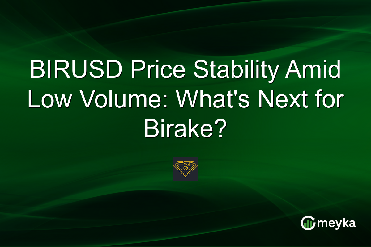 BIRUSD Price Stability Amid Low Volume: What's Next for Birake?