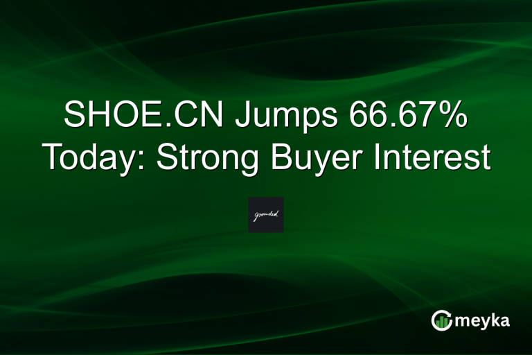 SHOE.CN Jumps 66.67% Today: Strong Buyer Interest