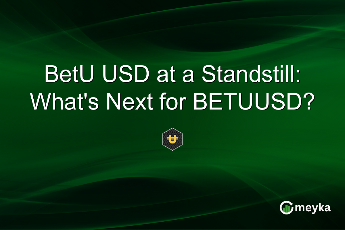 BetU USD at a Standstill: What's Next for BETUUSD?