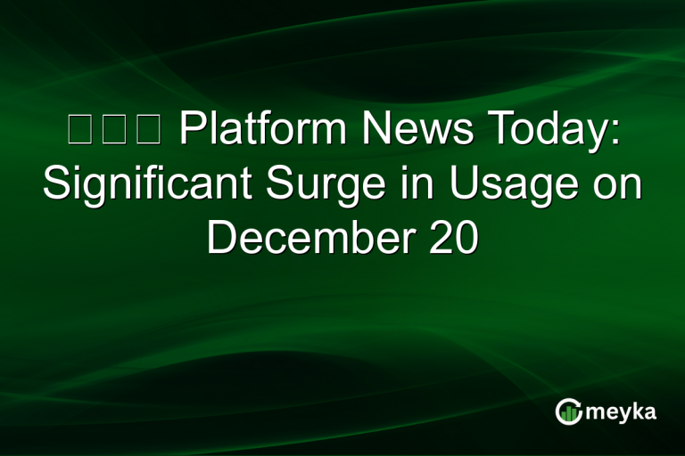 積金易 Platform News Today: Significant Surge in Usage on December 20