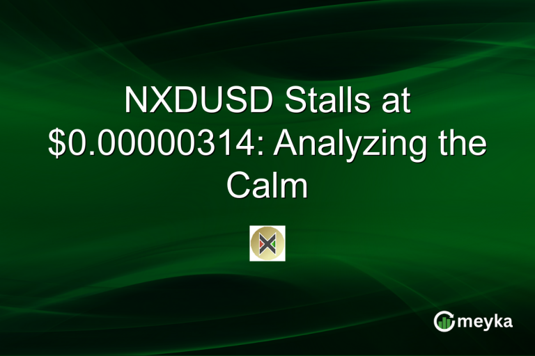 NXDUSD Stalls at $0.00000314: Analyzing the Calm