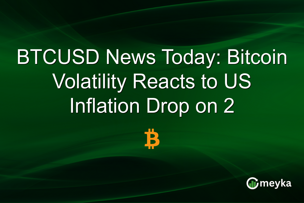 BTCUSD News Today: Bitcoin Volatility Reacts to US Inflation Drop on 2