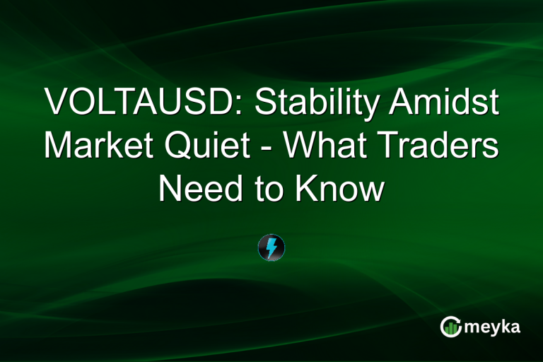 VOLTAUSD: Stability Amidst Market Quiet - What Traders Need to Know