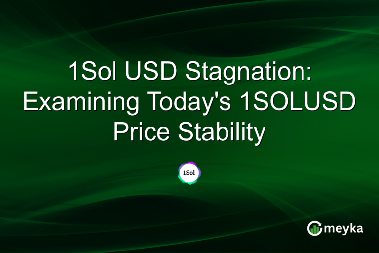 1Sol USD Stagnation: Examining Today's 1SOLUSD Price Stability