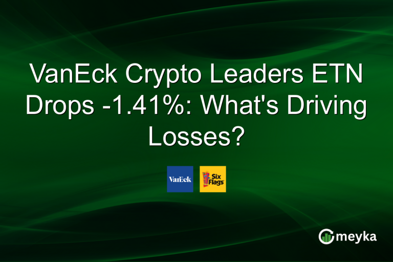 VanEck Crypto Leaders ETN Drops -1.41%: What's Driving Losses?