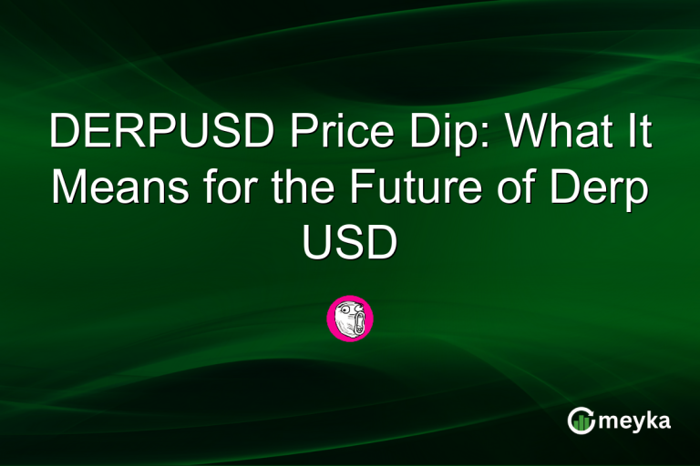 DERPUSD Price Dip: What It Means for the Future of Derp USD