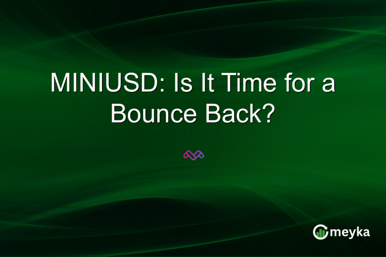 MINIUSD: Is It Time for a Bounce Back?