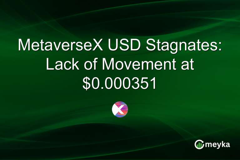 MetaverseX USD Stagnates: Lack of Movement at $0.000351