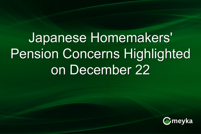 Japanese Homemakers' Pension Concerns Highlighted on December 22