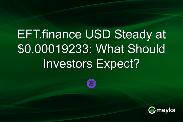EFT.finance USD Steady at $0.00019233: What Should Investors Expect?