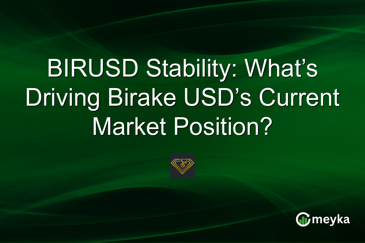 BIRUSD Stability: What’s Driving Birake USD’s Current Market Position?