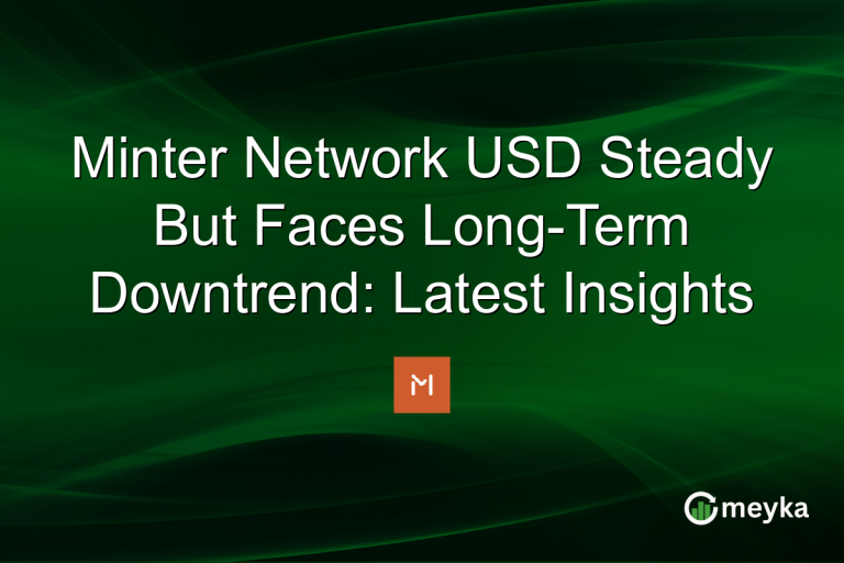 Minter Network USD Steady But Faces Long-Term Downtrend: Latest Insights