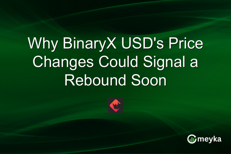 Why BinaryX USD's Price Changes Could Signal a Rebound Soon