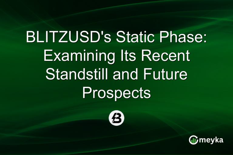 BLITZUSD's Static Phase: Examining Its Recent Standstill and Future Prospects
