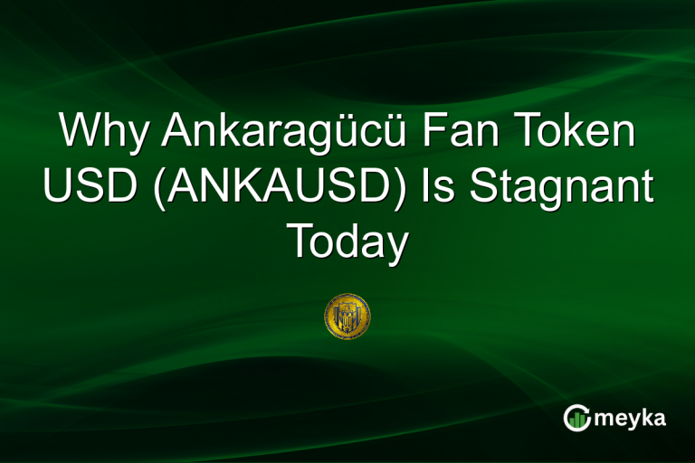 Why Ankaragücü Fan Token USD (ANKAUSD) Is Stagnant Today