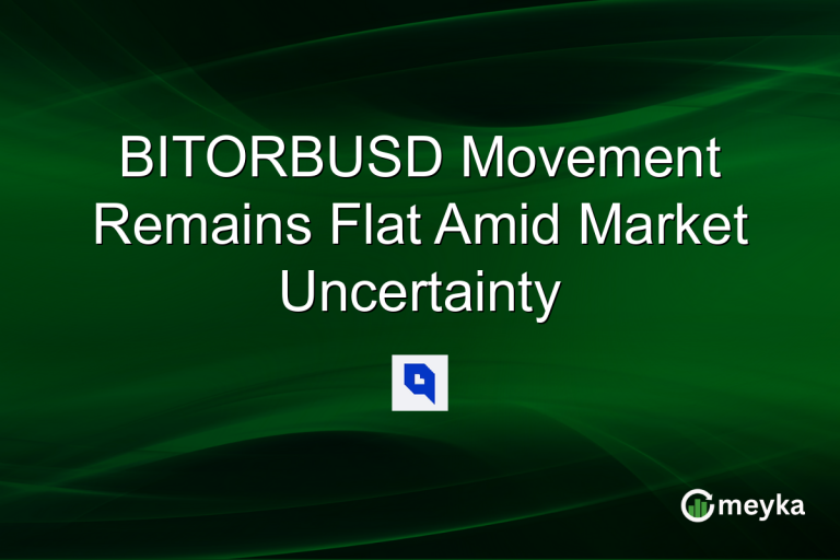 BITORBUSD Movement Remains Flat Amid Market Uncertainty