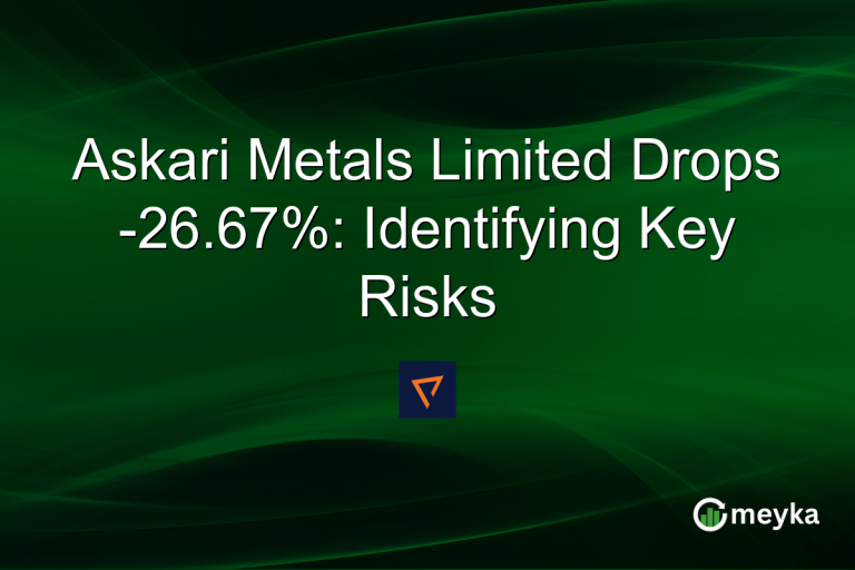 Askari Metals Limited Drops -26.67%: Identifying Key Risks