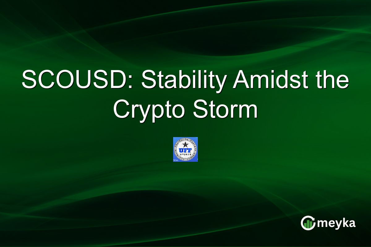 SCOUSD: Stability Amidst the Crypto Storm