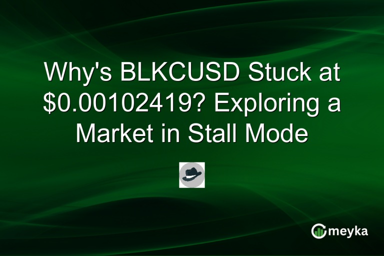 Why's BLKCUSD Stuck at $0.00102419? Exploring a Market in Stall Mode