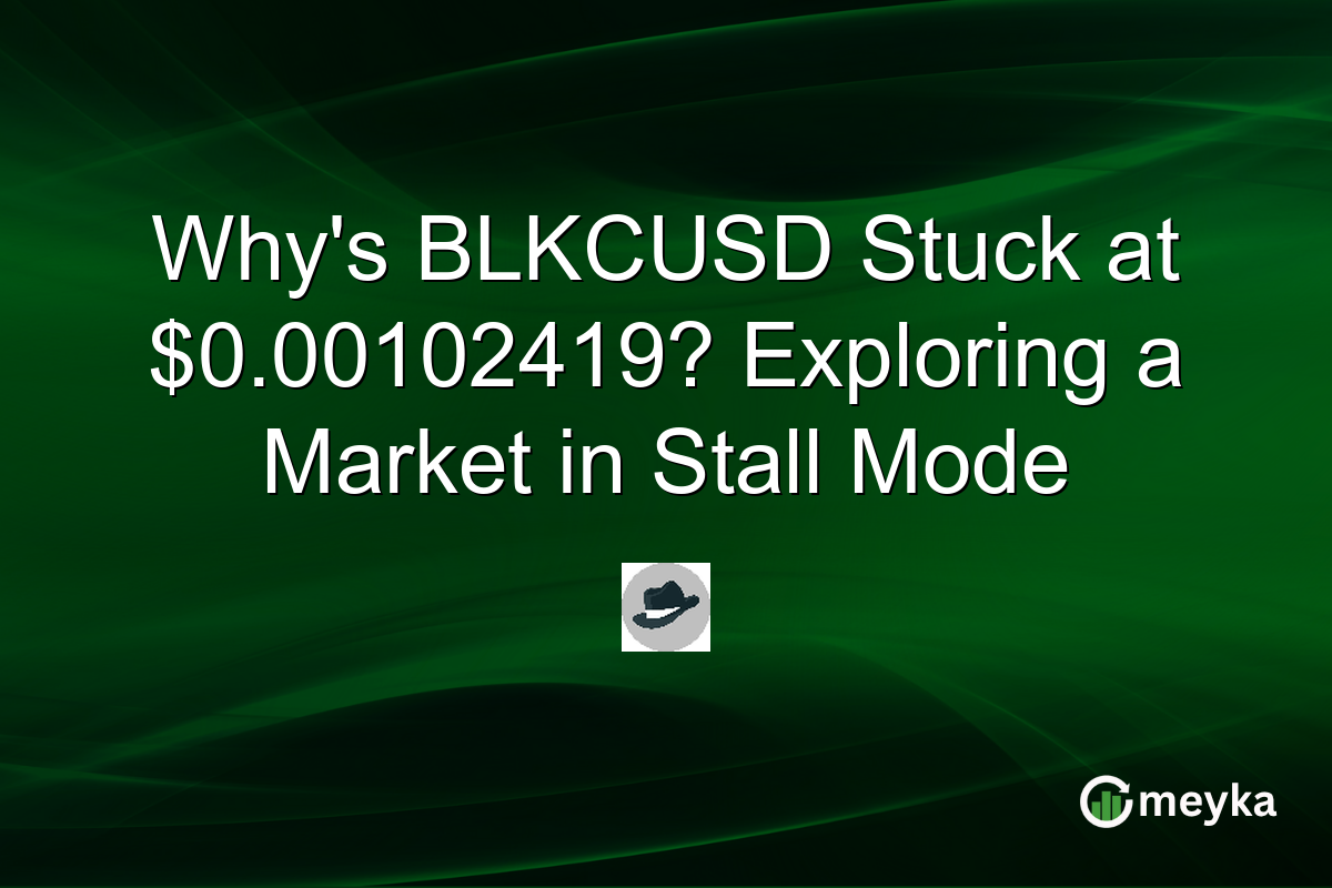 Why's BLKCUSD Stuck at $0.00102419? Exploring a Market in Stall Mode