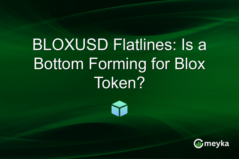 BLOXUSD Flatlines: Is a Bottom Forming for Blox Token?